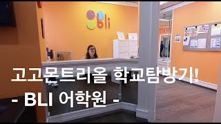 [몬트리올 학교탐방!] 캐나다 몬트리올 BLI 어학원 + Sarah 실장님 설명