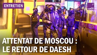 Attentat de Moscou : de la France à la Russie, l’hydre Daech