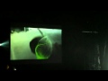 Just Dance + White Dress Interlude - Lady Gaga - The Monster Ball New Orleans