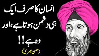 Collection Of Hassan Basri Ra Quotes || Insan Ka Sirf Ek Dushman Ha || Urdu New Quotes || SadiqVoice