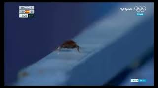 Cameraman Focuses On Cockroach In Tokyo Olympics Live Broadcast