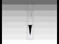 Atherosclerosis Debris Filter Simulation