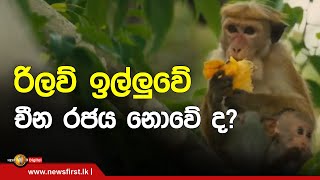 රිලව් ඉල්ලුවේ චීන රජය නොවේ ද?