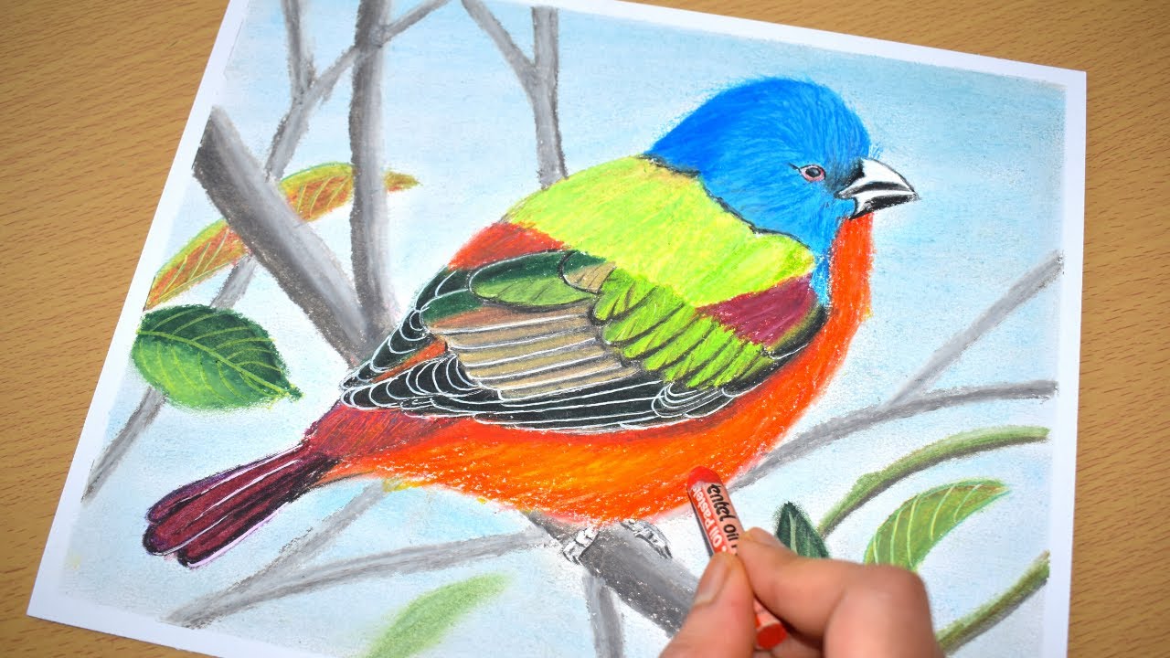 Bird Scenery Drawing With Oil Pastels | Oil Pastel Drawing For ...