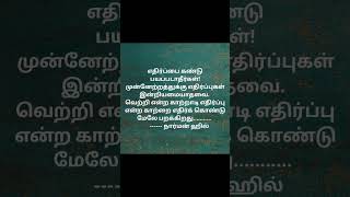 படித்ததில் பிடித்த வரிகள்! சிந்தனை சிதறல்கள்! மனம் கவர்ந்த வரிகளை வாசித்து பாருங்களேன்! வாசிக்கலாமா