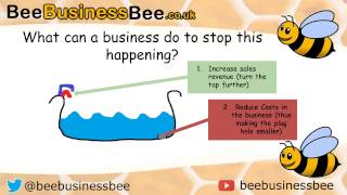 Cash Flow Forecasting Bee Business Bee