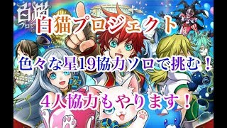 白猫プロジェクト星19協力色々なキャラを使ってソロで挑む！（４人協力もやります！）