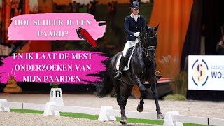 VLOG #43 Power scheren & mest onderzoeken || SIJTSMA DRESSAGE ||