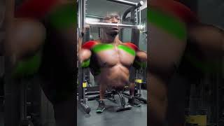 OVERHEAD PRESS (muscles worked)