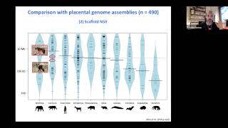 SBE meeting 2021's talks: Frédéric Delsuc, Ph.D.