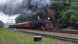 The 2024 Mad Hatters Express   (4K)