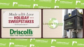 AndNowUKnow - Driscoll's, Locus Traxx - Quick Dish