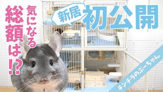 Chinchilla New Cage Layout (feisty ferret cage) | Funny and Cute Chinchilla