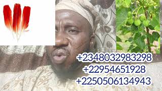 ITOJU ÀRÙN NKAN OṢÙ OBINRIN TON ṢE SÉGESÈGE, +2348032983298, +22954651928, +2250506134943