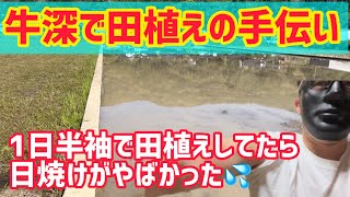 【天草】天草の牛深で田植えの手伝い。苗が入っている箱の裏に「あの生物が？」【あまくさもん】