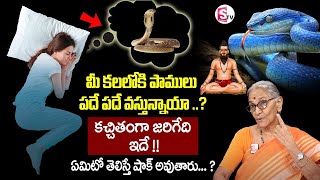 పాములు కలలోకి వస్తే.. | Anantha Lakshmi About Snakes in dreams | Dharma Sandehalu | SumanTV General