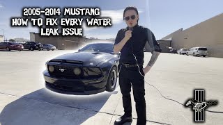 2005-2014 Mustang | How to Fix Every Water Leak Issue