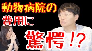 【ミキ亜生さん】ペットを飼う覚悟！動物病院はお金が掛かります！