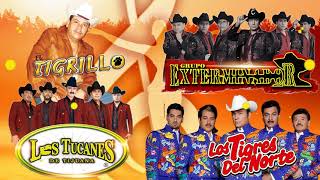 Narco Corridos Mix  ~ Tucanes De Tijuana, Tigres Del Norte, Exterminador Tigrillo Palma