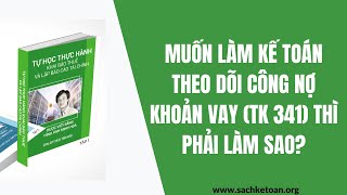 Muốn Làm Kế Toán Theo Dõi Khoản Vay TK 341 Thì Làm Sao?