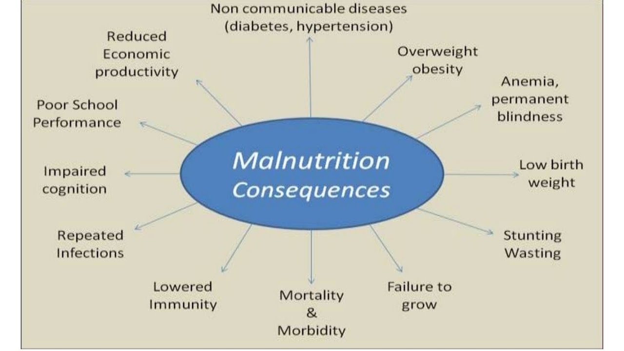 CONSEQUENCES OF MALNUTRITION #SCIENCE #CHEMISTRY #BIOLOGY #FOODSCIENCE ...