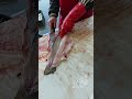 how to clean a trout for fresh fish fridays