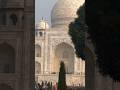 Taj Mahal India 7 wonder of the world #tajmahal #india #wonderful