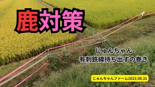 鹿対策　ついに有刺鉄線張ることに2023 08 31