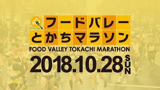 2018フードバレーとかちマラソン　西16条・5km折返し地点（西町公園付近）