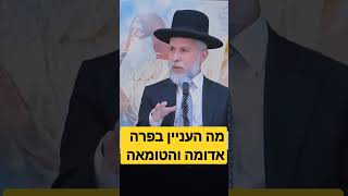 מה העניין בפרה אדומה והטומאה  - הרב זמיר כהן  - למטה לגרסה המלאה