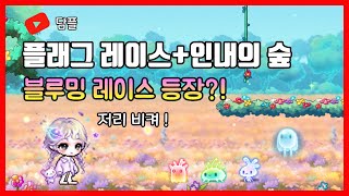 [메이플 담플] 18주년 블루밍 레이스 등장 !