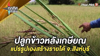 ปลูกข้าวหลังเกษียณ เลือกพันธุ์ดีแปรรูปเองสร้างรายได้มั่นคง จ.สิงห์บุรี | ทุกทิศทั่วไทย | 6 ก.ย. 66