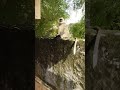 monkey video | monkey | bandar #bandar#monkey #monkeyvideo