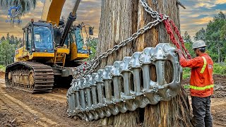 Extreme Dangerous Fastest Big Chainsaw Cutting Tree Machines #46 | Monster Stump Removal Excavator