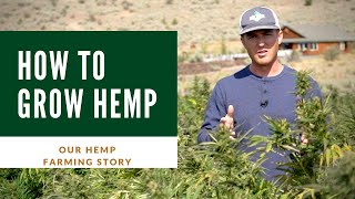 Hemp farming documentary - How to grow a profitable hemp farm