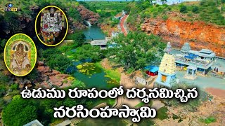 ఉడుము రూపంలో దర్శనమిచ్చిన నరసింహస్వామి | Maddileti Narasimha Swamy Temple | Eyecon facts