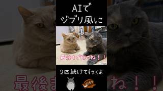 【ねこ動画】ジブリ風にAI使って変身してみた！2匹連続！　#shorts　#猫動画 　#cat 　#ジブリ映画 　#ネコバス