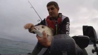 Softbaiting, stickbaiting and free diving Doubtless bay NZ by kayak...