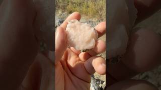 Fabulous pink crystal found in Missouri