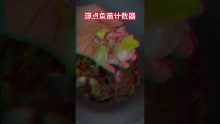 数鱼用鱼苗计数器 倒下去就马上数完了