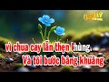 karaoke liên khúc trữ tình tone nữ beat hay nhất nhạc sống thành lý