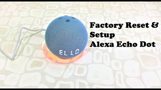 How to Completely Factor Reset & Setup Amazon Alexa Echo Dot