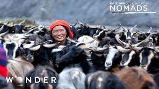 Surviving Amongst Wolves In The Mongolian Nomadic Mountains