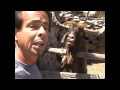 ultimate funny goat compilation