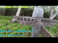 【ヒグマ注意！】北海道の夏山登山と湿原ラン【暑寒別岳】