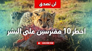 اكتشف الأسرار: أقوى 10 مفترسين في عالم الطبيعة!