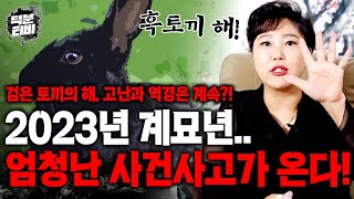 검은 호랑이 가고 검은 토끼 온다! 2023년 계묘년의 핵심 키워드는 '이것'｜다가오는 2023년에는 흰색과 빨간색을 최대한 많이 활용하세요..!!