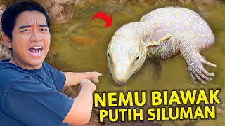 AKU MENEMUKAN BIAWAK PUTIH SILUMAN PULUHAN JUTA DISINI?! GAK PERNAH LIHAT INI SEBELUMNYA!