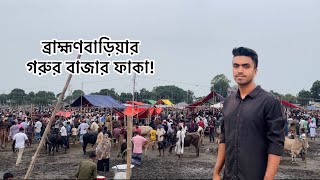 ব্রাহ্মণবাড়িয়া গরুর বাজার || Qurbani || Eid Mubarak || Brahmanbaria || Cow ||