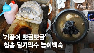 청송 사람이면 모두 이 물에 빚지고 산다... '거품이 뽀글뽀글' 달기약수 I #e슐랭토크